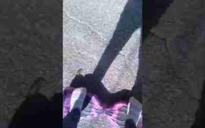 hoverboard