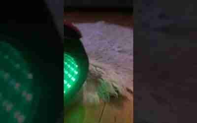hoverboard vid