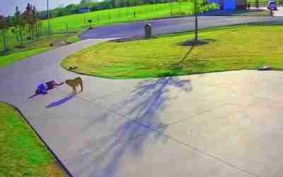 #Hoverboard fail