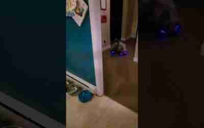 hover board #spin #hoverboard #littlekidschannel