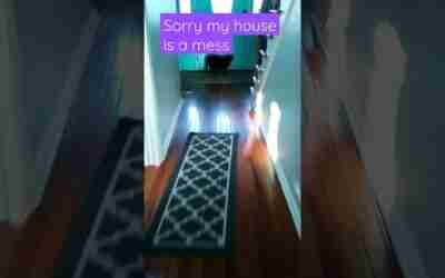 I got a hoverboard