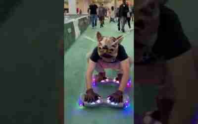 Hoverboard Rat #shorts #buddytherat