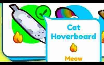 I got the meow hoverboard in pet sim x