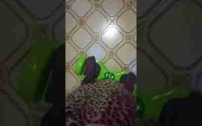 hoverboard