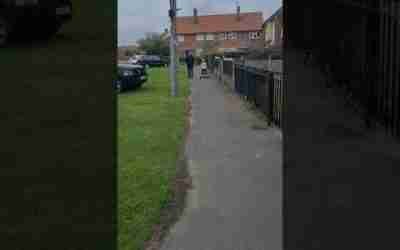 trying hes hoverboard