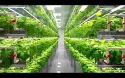 Vertical Farming