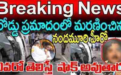 రోడ్డు ప్రమాదంలో మరణించిన ఈ నందమూరి హీరో ఎవరో తెలిస్తే  షాక్ అవుతారు #NTR#TopTeluguStudios