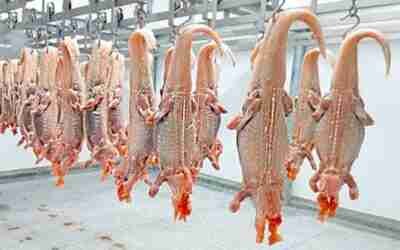 20 Things Can’t Be Seen Anywhere But In Japan