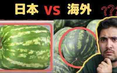 日本にしかない２９個変な物（全部知ってる人いないと思う・・）