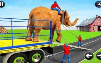 Driving truck animal cargo and transport of various wild animals to certain sites