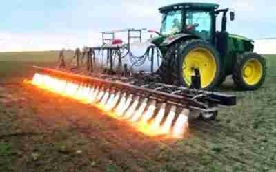 15 Crazy Ideas That Actually Worked