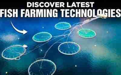 The Future of Aquaculture New Sustainable Fish Farming Technologies