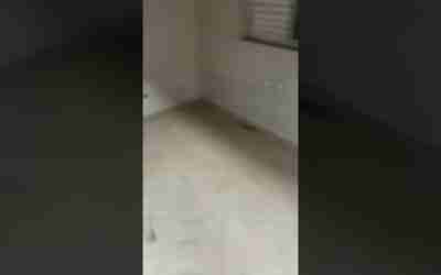 aro 26 hoverboard pat 2