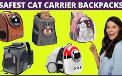 Best Cat Carrier Backpacks To Bring Your Cat Everywhere