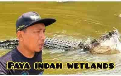 Paya Indah Wetlands At Malaysia//Lokasi Riadah Yang Tersembunyi…