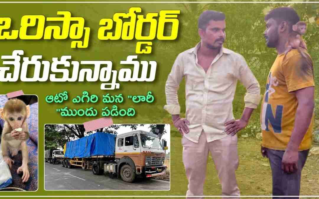ఒర్రిస్సా బార్డర్ కి చేరుకున్నాము|కోతులు బంటుగాడిని ఎత్తుకుపోవడానికి వచ్చాయి|telugu truck traveller