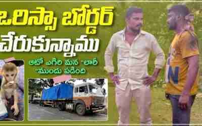 ఒర్రిస్సా బార్డర్ కి చేరుకున్నాము|కోతులు బంటుగాడిని ఎత్తుకుపోవడానికి వచ్చాయి|telugu truck traveller