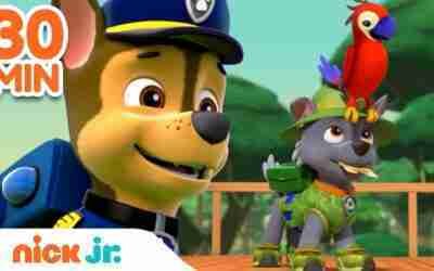 PAW Patrol Outdoor Rescues w/ Rocky & Chase! | 30 Minute Compilation | Nick Jr.