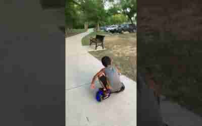 Go Trax Hoverboard  #shorts