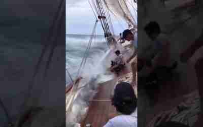 Bluewater cruising #shorts