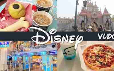 【4K vlog】10年ぶりにディズニーランド来たらまた違う世界だった  | もちろんカフェ&グルメ情報も | アラサー会社員大人の休日