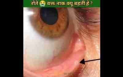 रोते समय नाक क्यू बहने लगती है | #factwich #bodyfacts