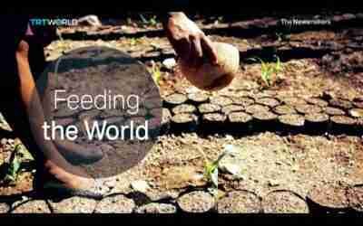 The Newsmakers: Vertical Farming