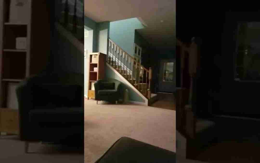 January 2019: Hoverboards