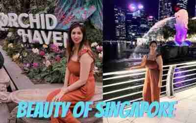 Beauty of Singapore || Gardens of the Bay || Marina Bay Sands || Merlion Park ||