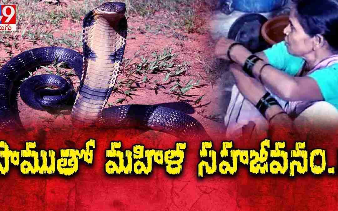 పాముతో మహిళ సహజీవనం! – TV9