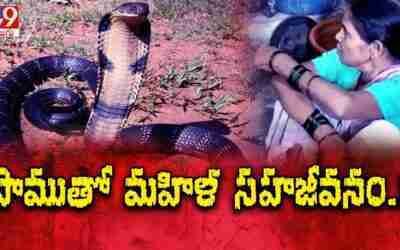 పాముతో మహిళ సహజీవనం! – TV9