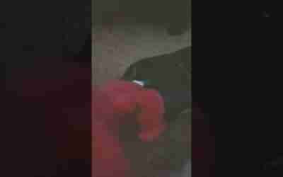FNAF – Foxy learns how to ride a hoverboard!