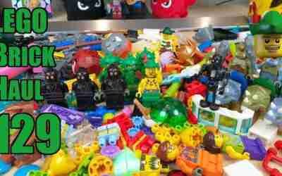 LEGO Brick Haul 129 – Brick Link ??