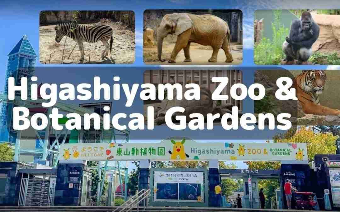 Higashiyama Zoo and Botanical Gardens | Higashiyama Sky Tower| Full Tour | 名古屋市東山動植物園