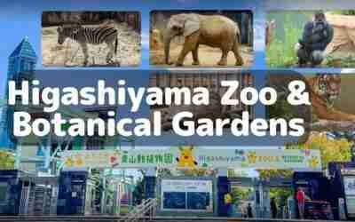Higashiyama Zoo and Botanical Gardens | Higashiyama Sky Tower| Full Tour | 名古屋市東山動植物園