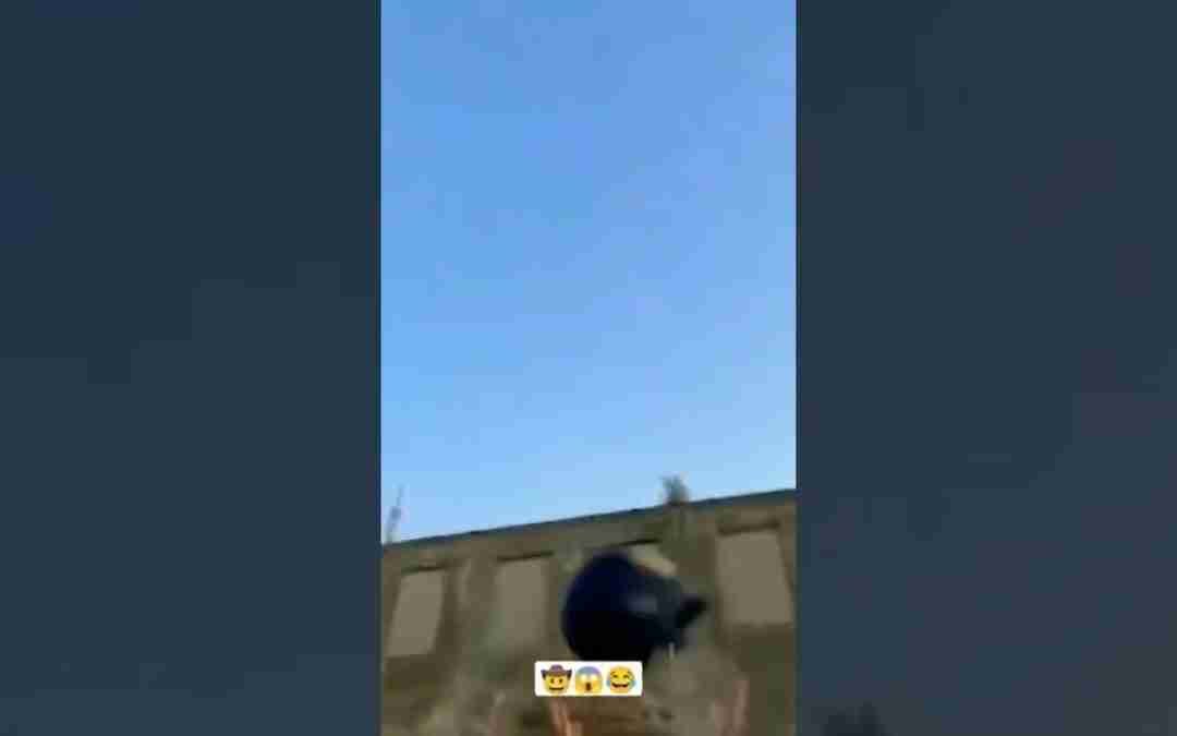 Untitled video