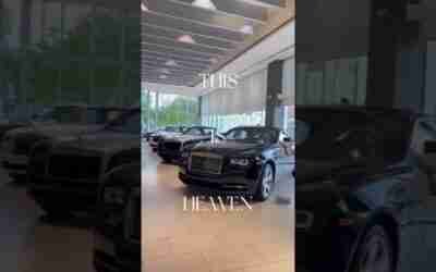 This is heaven| Rolls Royce's | #short  # Rolls-Royces #car