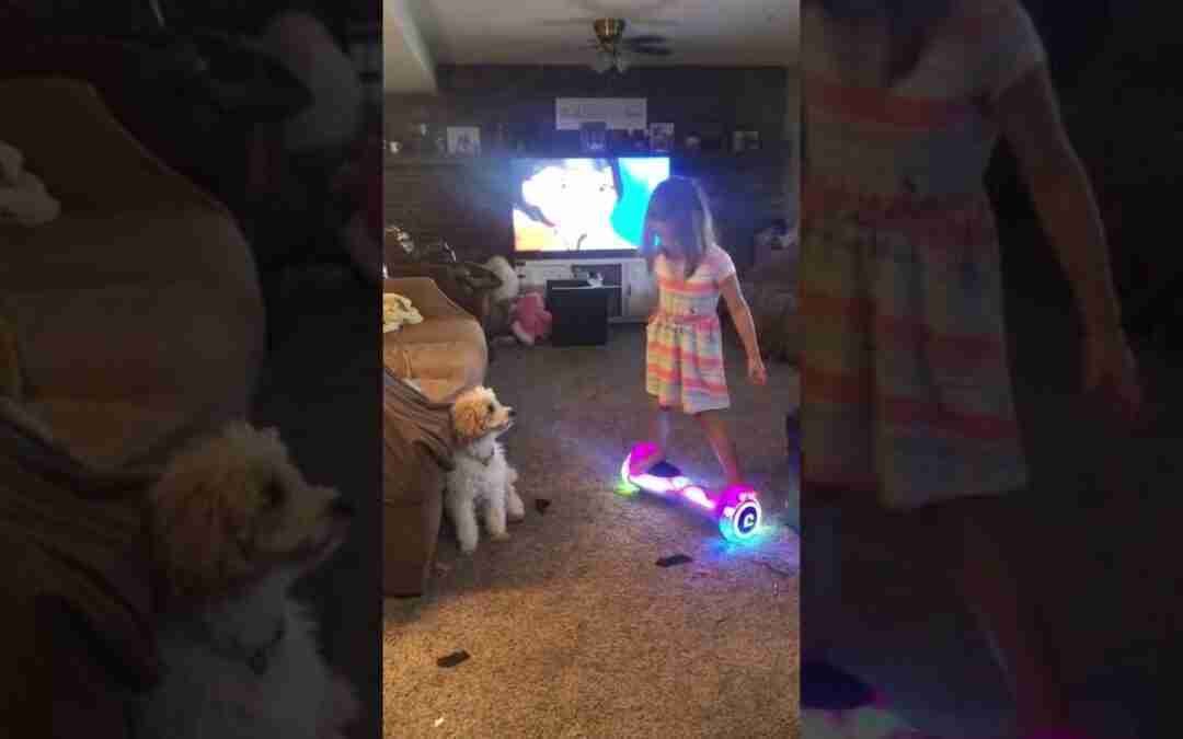 Hoverboard fun time