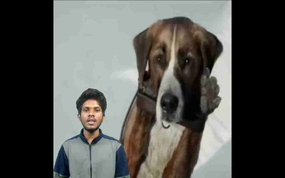 interesting facts in telugu | telugu facts | #facts #shorts #skfacts