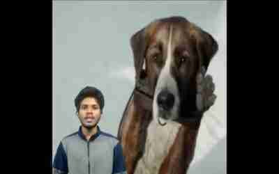 interesting facts in telugu | telugu facts | #facts #shorts #skfacts