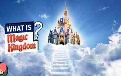 An Idiot's Guide to Disney’s MAGIC KINGDOM at Walt Disney World