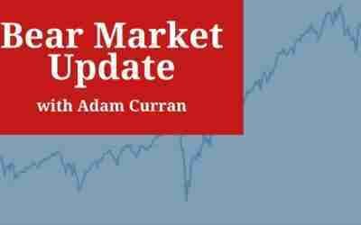 Bear Market Update