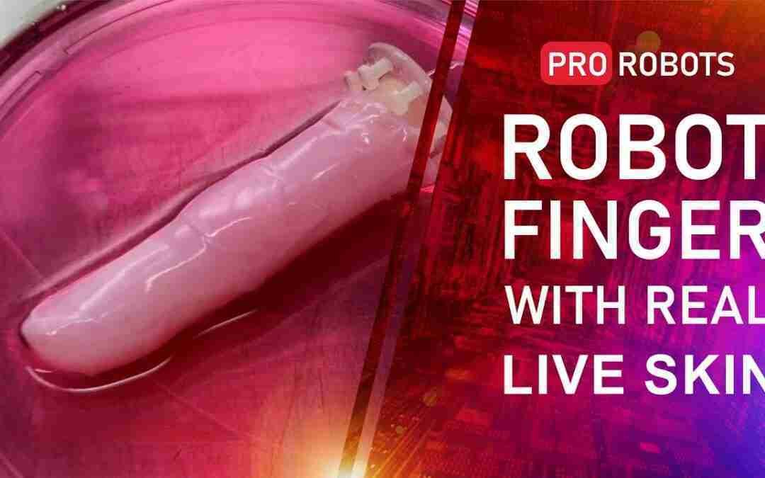Elon Musk's Teslabot release named | Robo finger with living skin | Technology News