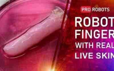 Elon Musk's Teslabot release named | Robo finger with living skin | Technology News