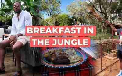 Kenya Travel Vlog – I went on a solo trip to Kenya (Amazing Experience)