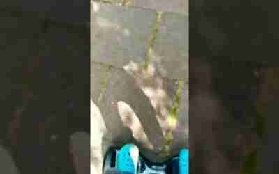 #hoverboard #viral #like #916star #916starjdk