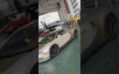 Beast | #beast #short