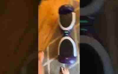 Hoverboard