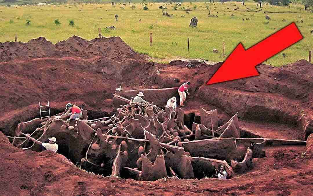 12 Most Incredible Recent Finds