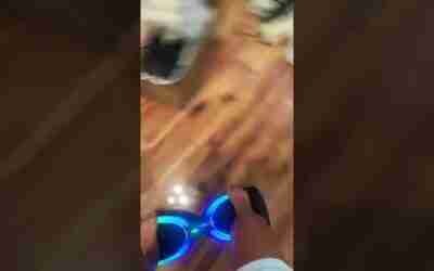 Thank you guys for 1000 views on my first video I’ll be sure to make more videos with my hover board